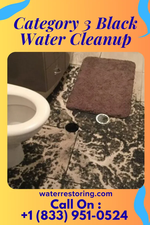 Category 3 Black Water Cleanup in Brambleton, VA