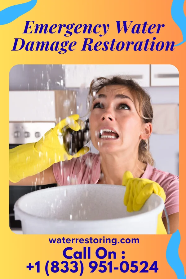 Emergency Water Damage Restoration in Brambleton, VA