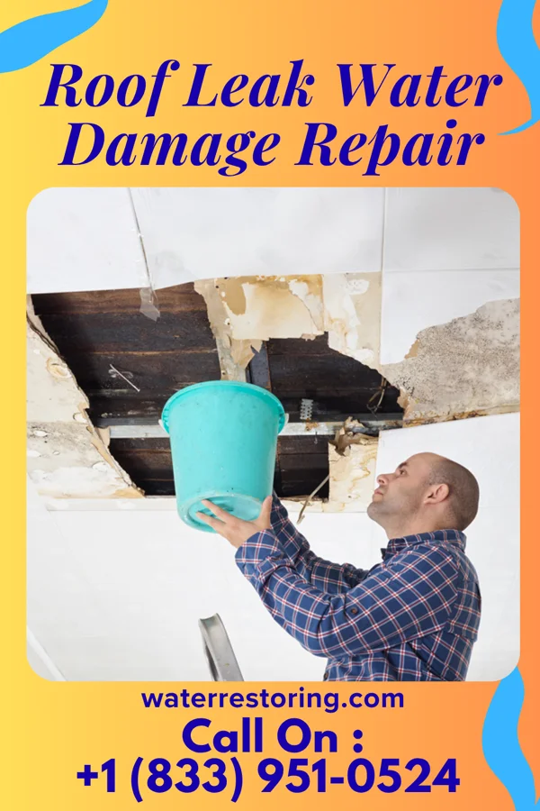 Roof Leak Water Damage Repair in Brambleton, VA